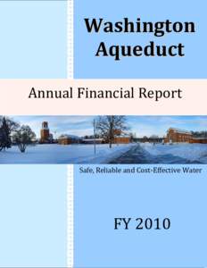 Microsoft Word - FY 2010 Annual Financial Report v4.0.doc