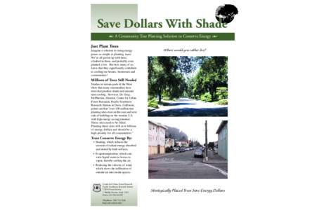 Save Dollars With Shade S A Community Tree Planting Solution to Conserve Energy  Just Plant Trees