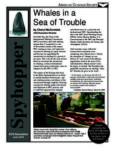 Whales in a Sea of Trouble by Cheryl McCormick Spyhopper