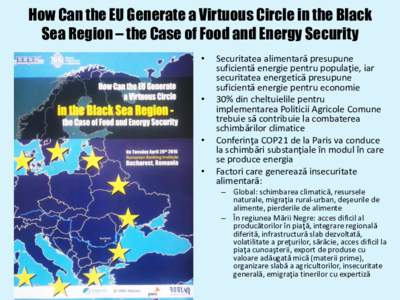 How Can the EU Generate a Virtuous Circle in the Black Sea Region – the Case of Food and Energy Security • •