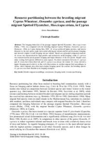 Eurasia / Wheatear / Zoology / M. striata / Spotted Flycatcher / Muscicapa / Hawking / Oenanthe / Cyprus Wheatear / Ornithology