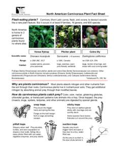 North American Carnivorous Plant Fact Sheet Flesh-eating plants? Carnivory (from Latin carnis, flesh, and vorare, to devour) sounds like a rare plant feature. But it occurs in at least 9 families, 19 genera, and 600 spec