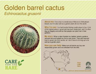 Golden barrel cactus Echinocactus grusonii About me: I live only in a small area of Mexico’s Chihuahuan Desert, but I’m also sold as a garden plant all over the world.  Why I’m rare: I’ve had trouble finding a sa
