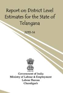 Report on District Level Estimates for the State of Telangana)