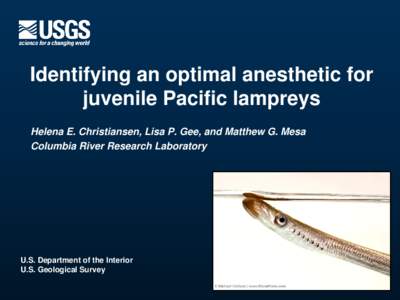 Identifying an optimal anesthetic for juvenile Pacific lampreys Helena E. Christiansen, Lisa P. Gee, and Matthew G. Mesa Columbia River Research Laboratory  U.S. Department of the Interior