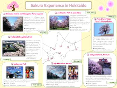 Hokkaido Shrine and Maruyama Park, Sapporo Maruyama Park in Sapporo, along with the grounds of Hokkaido Shrine next door ,is one of the most popular cherry blossom spot where people flock there for cherry blossom