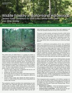 Photo courtesy of Mississippi Department of Wildlife, Fisheries & Parks (MDWFP) Wildlife Forestry in Bottomland Hardwoods: Desired Forest Conditions for Wild Turkey, White-tailed Deer