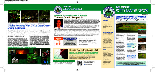 0214 LFIn DE Wildlands F14 News Trifold_Layout[removed]:39 AM Page 1  DELAWARE DELAWARE