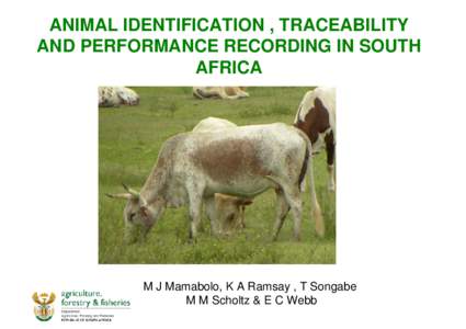 ANIMAL IDENTIFICATION , TRACEABILITY AND PERFORMANCE RECORDING IN SOUTH AFRICA M J Mamabolo, K A Ramsay , T Songabe M M Scholtz & E C Webb