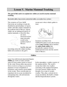 Lesson V. Marine Mammal Tracking The goal of this unit is to explain how eddies are used in marine mammal tracking. Keywords: eddies, loop currents, anticyclonic eddies, sea surface lows, cyclones  The scientists at Texa