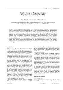 Mar. Freshwater Res., 2002, 53, 531–541  Captive biology of the pelagic stingray,