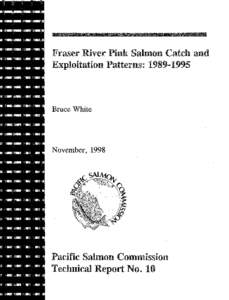 Fraser River Pink Salmon Catch and Exploitation Patterns: [removed]Bruce White  November, 1998