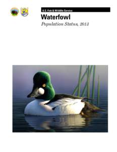 U.S. Fish & Wildlife Service  Waterfowl Population Status, 2013  Waterfowl Population Status, 2013