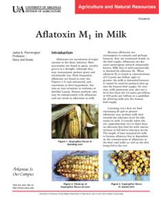 Aflatoxin M1 in Milk - FSA4018