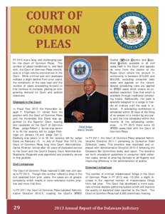 Courts / Criminal law / Mental health court / Mental health law / New York Court of Common Pleas / Court of Common Pleas / Ohio Courts of Common Pleas / Drug court / Public defender / Law / Criminal procedure / Civil law