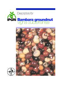 CGIAR / International Institute of Tropical Agriculture / Cowpea / Citrus / Land management / Vigna / Agriculture / Bambara groundnut