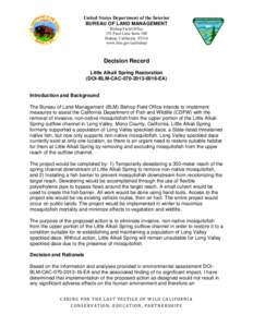 Decision Record - Indian Spring Headcut Stabilization and Riparian Habitat Improvement Project