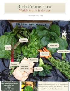 Bush Prairie Farm Weekly what is in the box This weeks box - #3 Lettuce Bok Choi