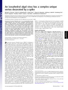 An icosahedral algal virus has a complex unique vertex decorated by a spike Mickae¨l V. Cherriera, Victor A. Kostyuchenkoa, Chuan Xiaoa,1, Valorie D. Bowmana, Anthony J. Battistia, Xiaodong Yanb, Paul R. Chipmana, Timot