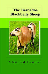 B_dos Blackbelly Sheep Booklet cover_fnt