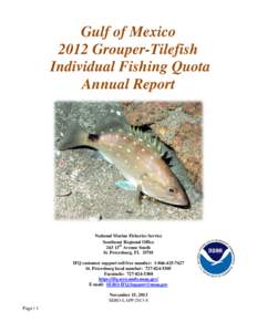 2008 Red Snapper IFQ Annual Report