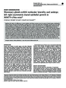 Mammary glands exhibit molecular laterality and undergo left&ndash;right asymmetric ductal epithelial growth in MMTV-cNeu mice&ast;