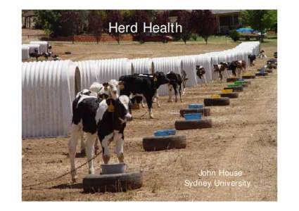 Herd Health  John House Sydney University  The Australian Dairy Industry