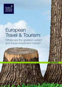 European Travel & Tourism: Where are the greatest current and future investment needs?