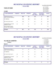 Municipal court year-end statistics by jurisdiction 2010