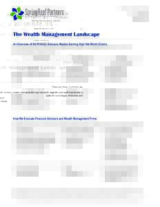 Microsoft Word - SpringReef Partners_Wealth Management Landscape