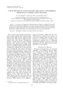 Tioman Island / Temporal scales / Colubrids