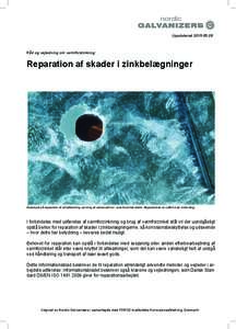 Brochure.Reparation af skader