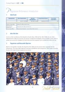 Public safety / Criminology / Crime prevention / South African Police Service / Police / Law enforcement / National security / Law