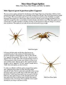 More About Oregon Spiders:  Hobo, Giant House, Black Widow, and Yellow Sac Spiders Hobo (Tegenaria agrestis) & giant house spiders (T. gigantea) The most common spiders submitted for identification at the Oregon Departme