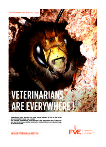 ENVIRONMENTAL PROTECTION  VETERINARIANS ARE EVERYWHERE ! Veterinarians help farmers and other animal keepers to act in the most environmentally friendly way possible.