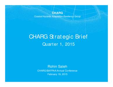 Microsoft PowerPoint - Saleh - CHARG_BAFPAA_StrategicPlanPPT_021615 RS