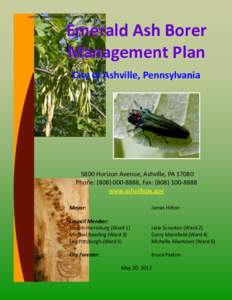 Ashville Emerald Ash Borer Management Plan  Emerald Ash Borer Management Plan City of Ashville, Pennsylvania