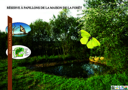 Réserve à papillons de la Maison de la forêtay  La réserve à papillons de la Maison de la Forêt Afin de participer à la préservation de la biodiversité et notamment des