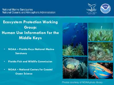 Ecosystem Protection Working Group: Human Use Information for the Middle Keys •