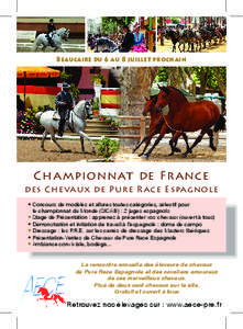 Beaucaire du 6 au 8 juillet prochain  Championnat de France des Chevaux de Pure Race Espagnole • Concours de modèles et allures toutes catégories, sélectif pour le championnat du Monde (SICAB) : 2 juges espagnols