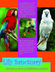 Zoology / Neognathae / Companion parrot / Parrot / True parrots / Cockatoo / Conure / Wing clipping / Parrot harness / Parrots / Aviculture / Ornithology
