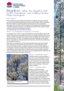 Bushfood / States and territories of Australia / Flora of New South Wales / Trees of Australia / Brigalow Belt / Acacia harpophylla / Paspalidium caespitosum / Carissa spinarum / Interim Biogeographic Regionalisation for Australia / IBRA regions / Geography of Australia / Natural history of Australia