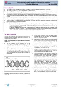 The Human Genetic Code—The Human Genome Project and Beyond Fact Sheet 24 Important points The completion of the mapping of the estimated 20,000 genes in the human genome was announced in April 2003 The number of human 