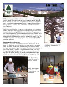 The Twig Colorado State Forest Service Volunteer Newsletter Spring/Summer 2012 CSFS volunteers ended 2011 with some festive events. One assisting CSFS in Golden with the annual tree cutting event in Denver Mountain
