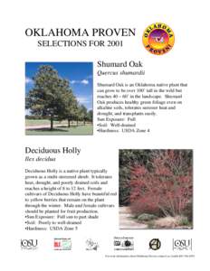 OKLAHOMA PROVEN SELECTIONS FOR 2001 Shumard Oak Quercus shumardii Shumard Oak is an Oklahoma native plant that can grow to be over 100’ tall in the wild but
