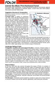 FDc34  FIRE-DEPENDENT FOREST/WOODLAND SYSTEM Central Floristic Region  Central Dry-Mesic Pine-Hardwood Forest