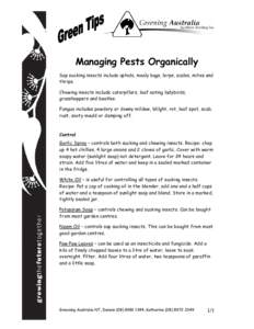 Managing Pests Organically Sap sucking insects include aphids, mealy bugs, lerps, scales, mites and thrips. Chewing insects include caterpillars, leaf eating ladybirds, grasshoppers and beatles. Fungus includes powdery o