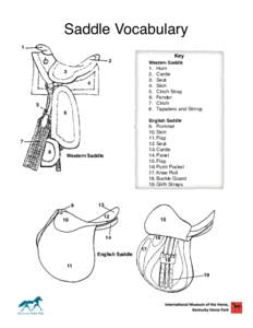 Saddle Vocabulary 1 2 Key !