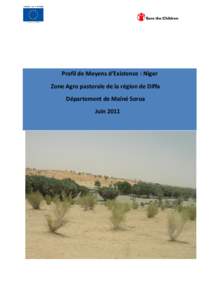 Profil de Moyens d’Existence : Niger Zone Agro pastorale de la région de Diffa Département de Maïné Soroa Juin 2011  A/ Contexte
