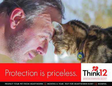 Protection is priceless. PROTECT YOUR PET FROM HEARTWORM 12 MONTHS A YEAR. TEST FOR HEARTWORM EVE RY 12 MONTHS.  